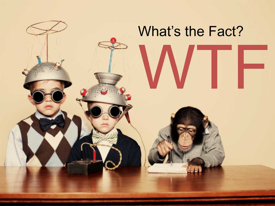 WTF | What's the Fact?